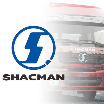Pezzi esterni della cabina del camion Shacman Faretti Paraurti Pannelli retrovisori